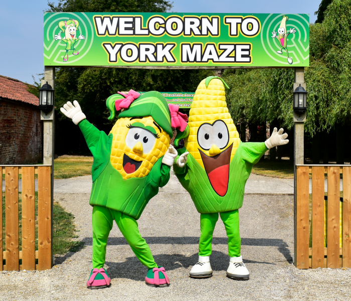 York Maze